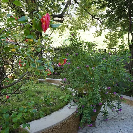 La Casa Dell'albero
